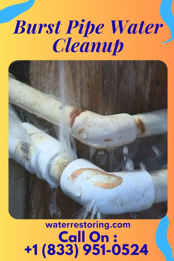 Burst Pipe Water Cleanup in Castleton Four Corners, VT
