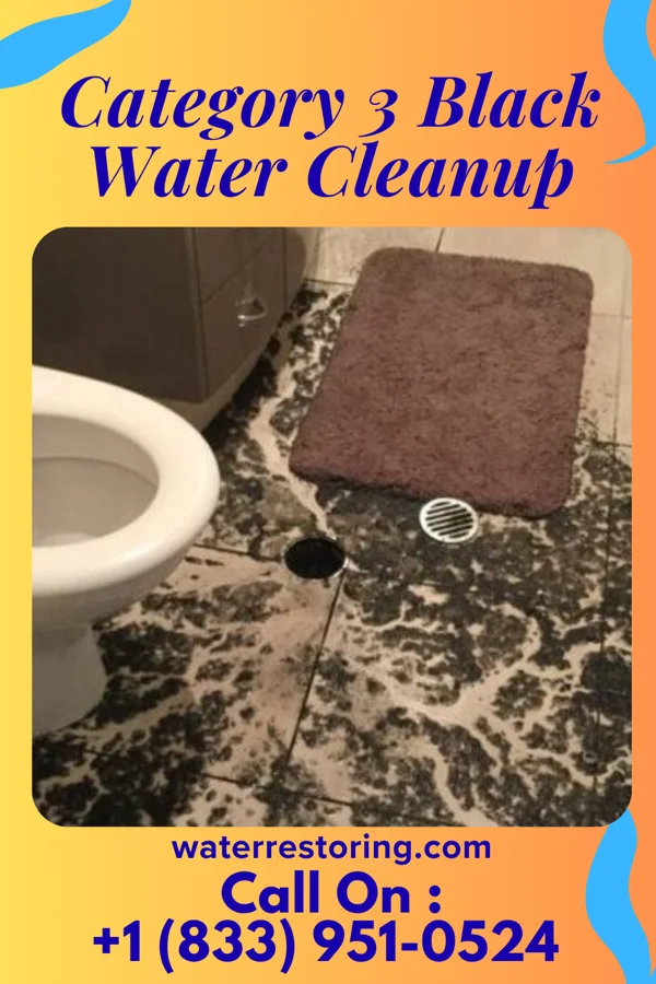 Category 3 Black Water Cleanup in Castleton Four Corners, VT
