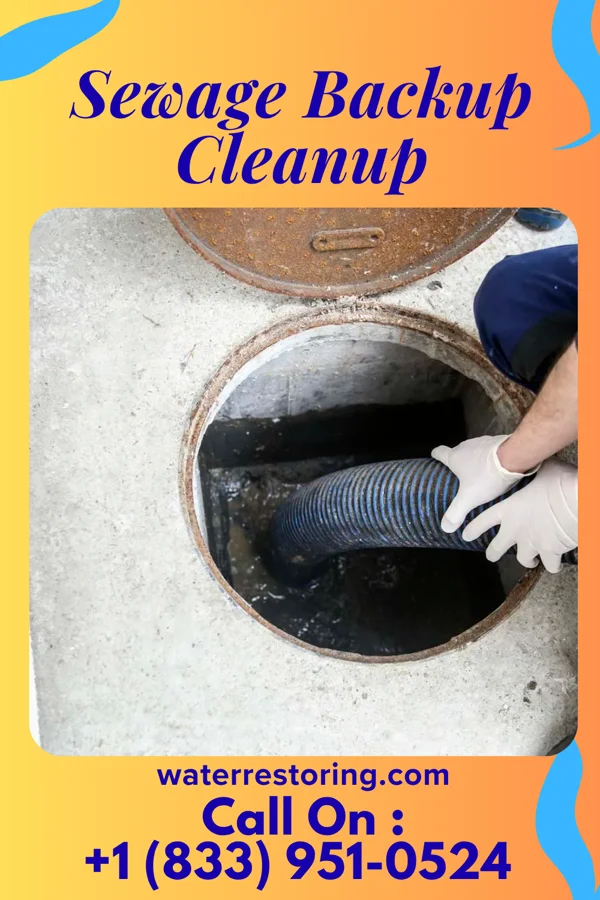 Sewage Backup Cleanup in Castleton Four Corners, VT