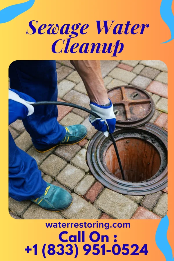 Sewage Water Cleanup in Castleton Four Corners, VT