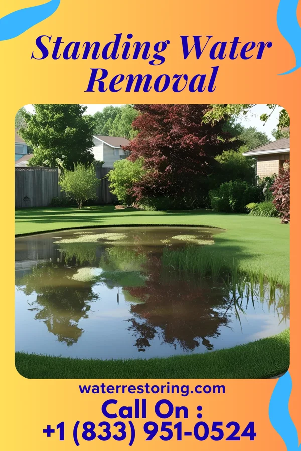 Standing Water Removal in Castleton Four Corners, VT